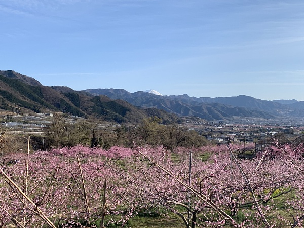 f:id:zaikabou:20190412085409j:plain