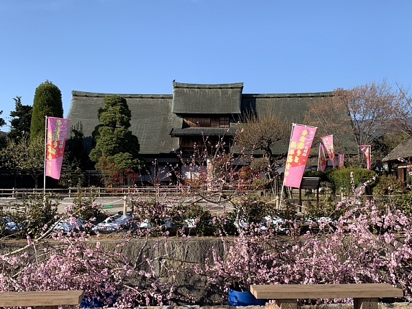 f:id:zaikabou:20190412085414j:plain