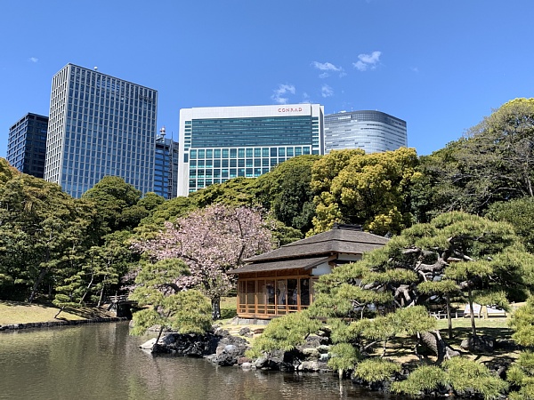 f:id:zaikabou:20190412085612j:plain