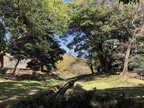 f:id:zaikabou:20190412085700j:plain