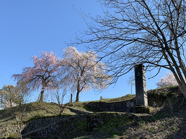 f:id:zaikabou:20190428105704j:plain f:id:zaikabou:20190428105704j:plain