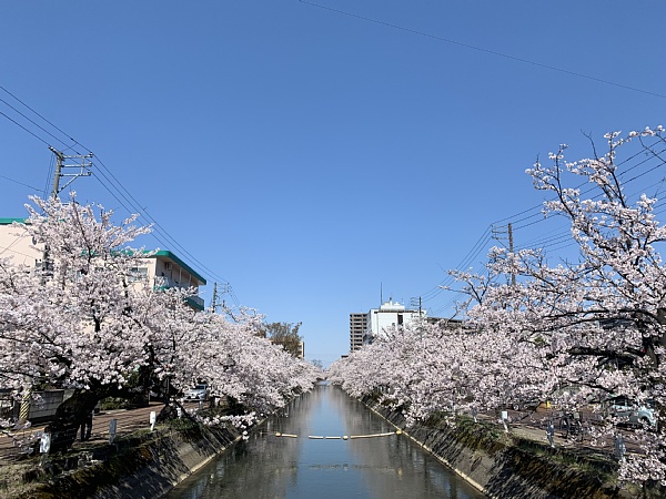 f:id:zaikabou:20190428105709j:plain f:id:zaikabou:20190428105709j:plain