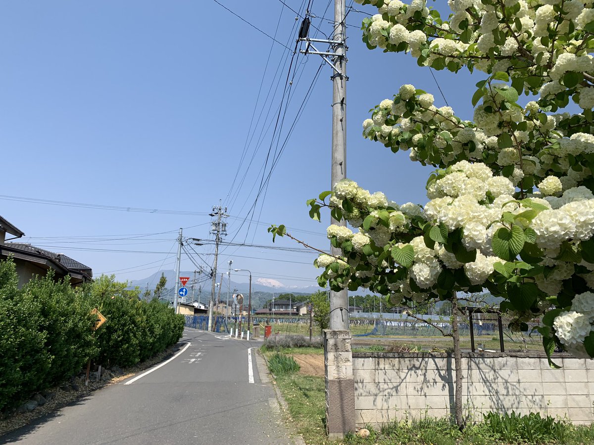f:id:zaikabou:20190614141707j:plain
