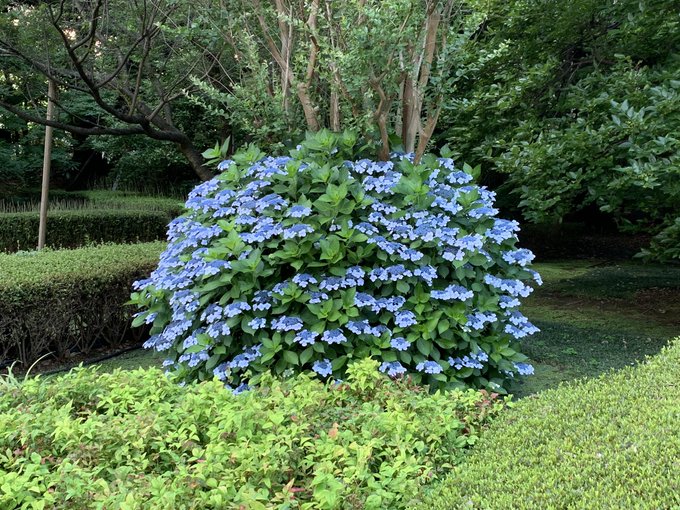 f:id:zaikabou:20190618112138j:plain