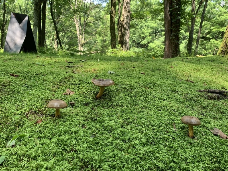 f:id:zaikabou:20190814142110j:plain