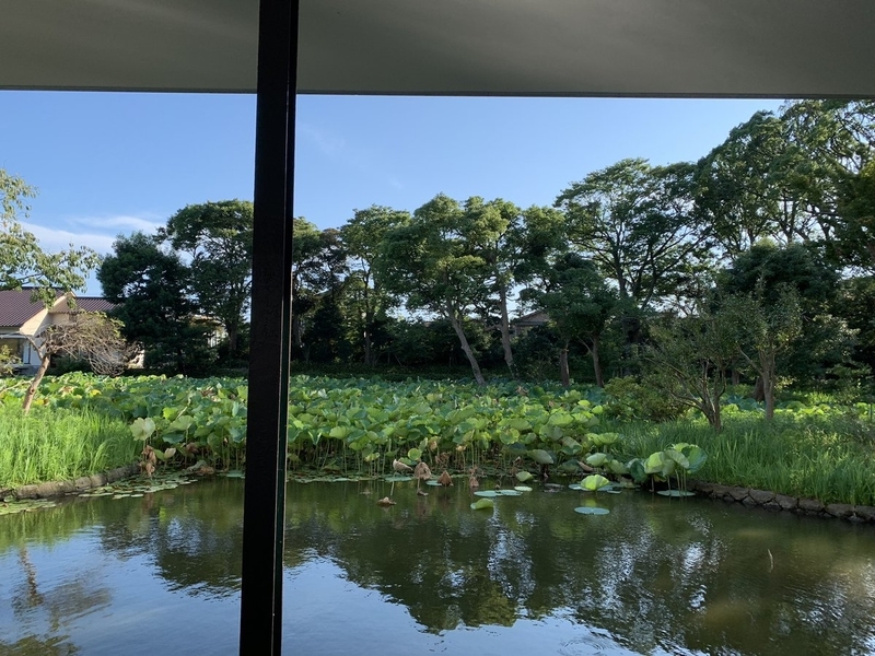 f:id:zaikabou:20190814152708j:plain