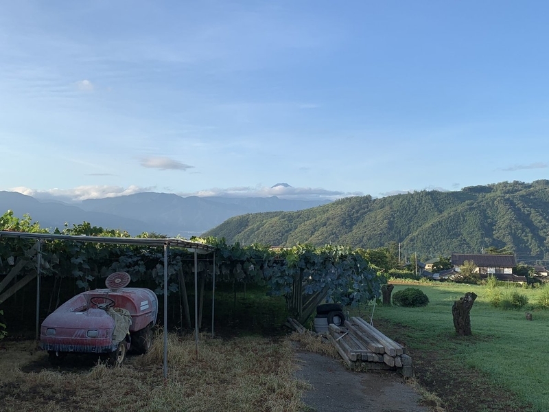 f:id:zaikabou:20190814160844j:plain