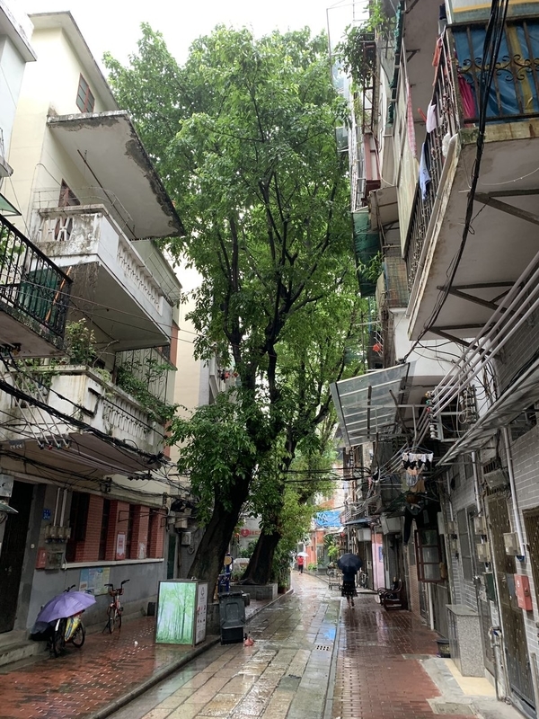 f:id:zaikabou:20190815083402j:plain