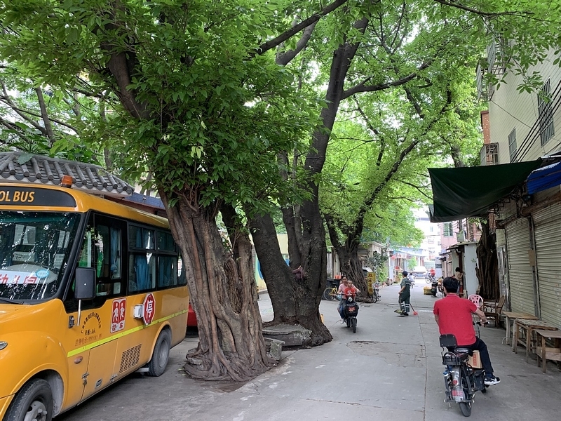 f:id:zaikabou:20190816075912j:plain