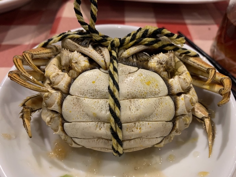 f:id:zaikabou:20191111135559j:plain