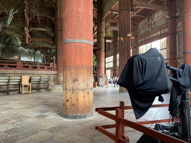 f:id:zaikabou:20200807132406j:plain