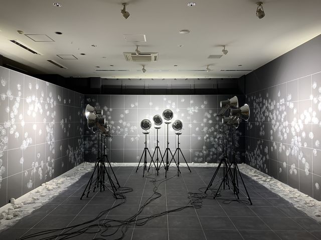 f:id:zaikabou:20200808110848j:plain f:id:zaikabou:20200808110848j:plain