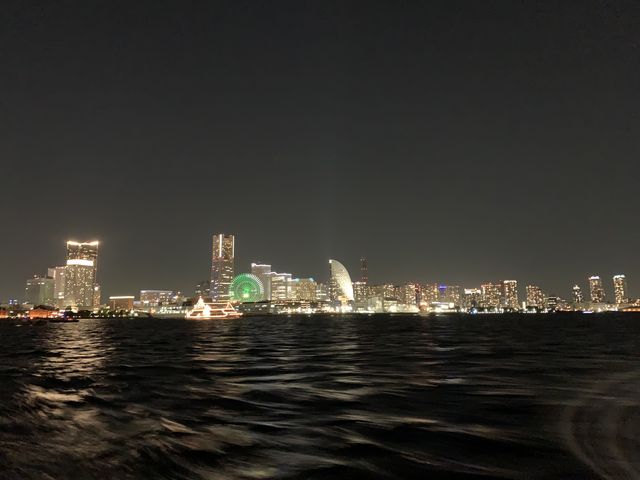 f:id:zaikabou:20201204180110j:plain