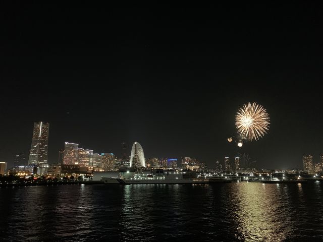 f:id:zaikabou:20201204190908j:plain