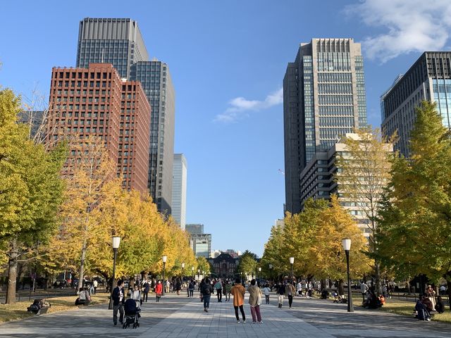 f:id:zaikabou:20201204193557j:plain