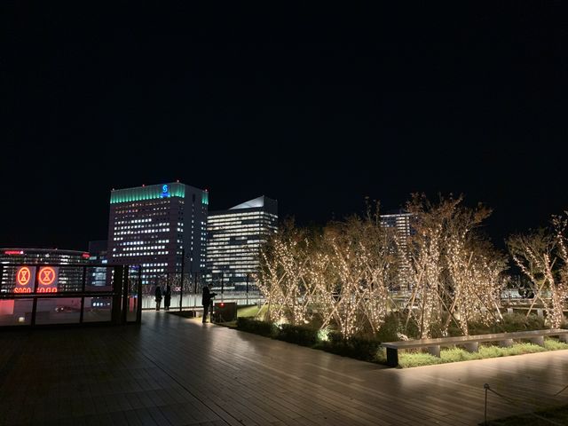f:id:zaikabou:20201230145053j:plain
