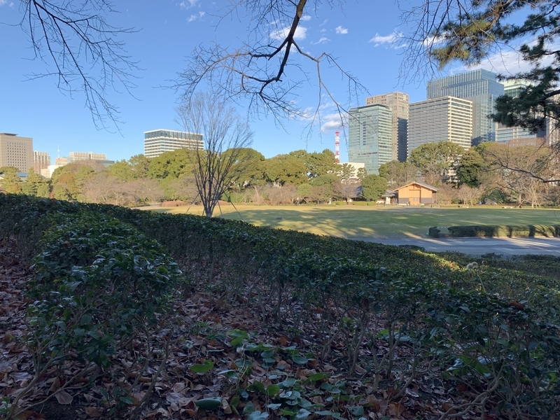 f:id:zaikabou:20220105143545j:plain