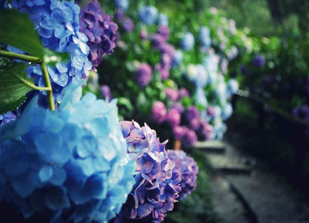 f:id:zaitakukaigo:20181001132119j:plain f:id:zaitakukaigo:20181001132119j:plain