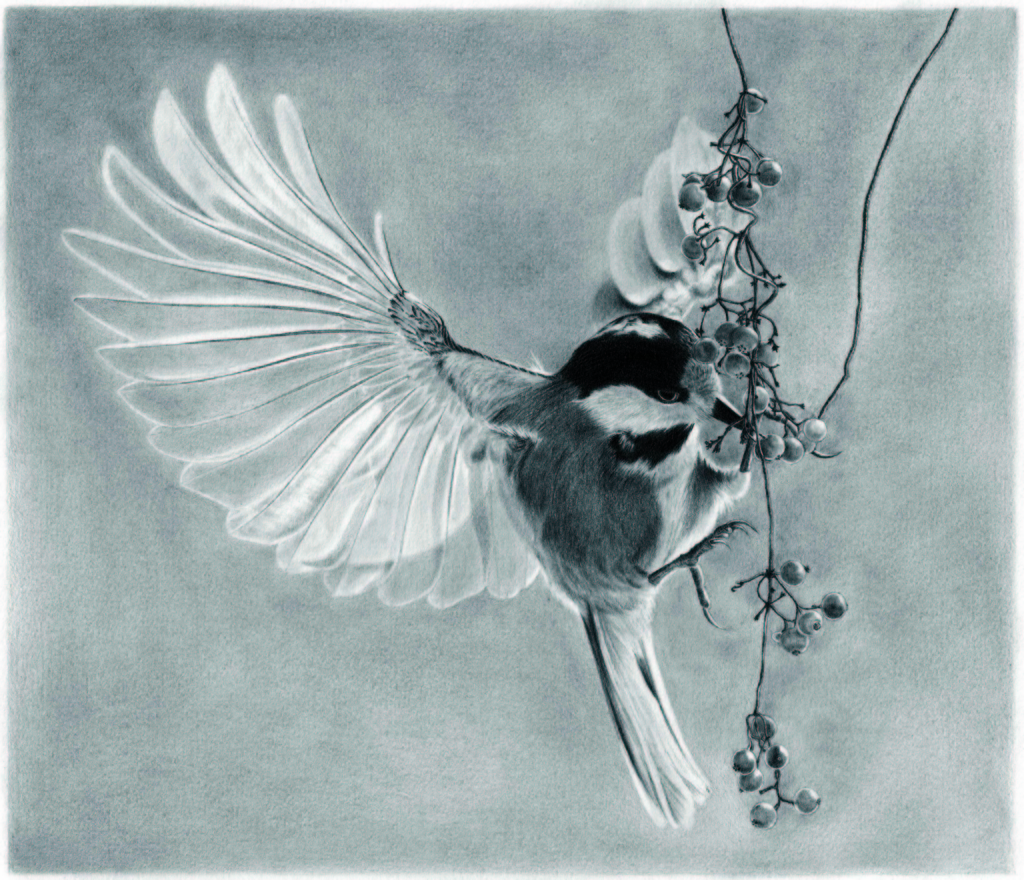 17年の年賀状用 鉛筆画 鉛筆画 Pencil Drawing と徒然