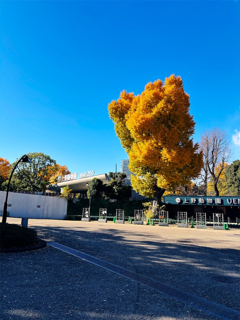 f:id:zaki20100401:20241208132030j:image f:id:zaki20100401:20241208132030j:image