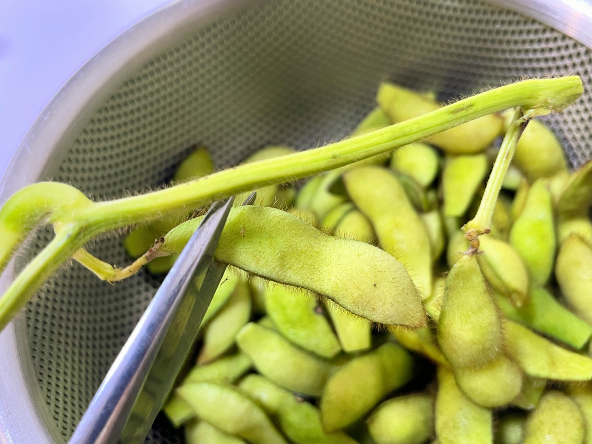 幻の枝豆!兵庫県丹波篠山の黒枝豆を食べた - ざきメモ