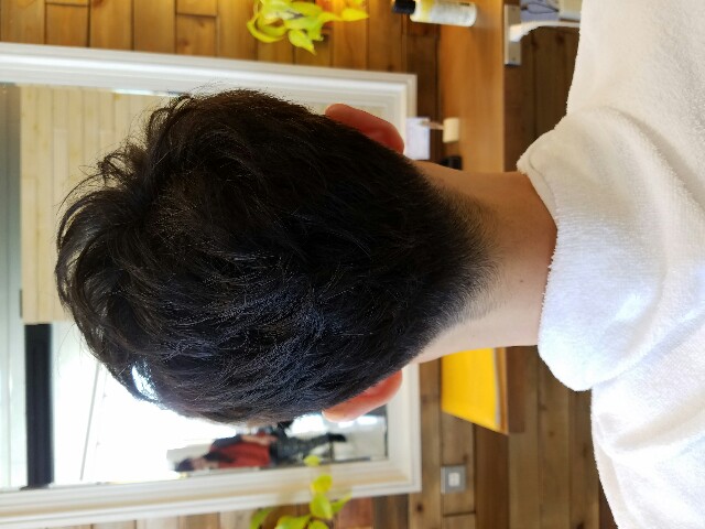 f:id:zakii:20161203232740j:image