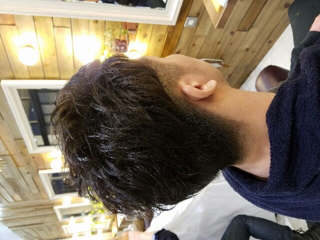 f:id:zakii:20161207170213j:image