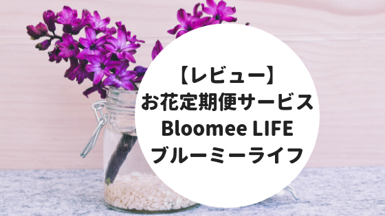 f:id:zakkiworkdiary:20180909161303p:plain f:id:zakkiworkdiary:20180909161303p:plain