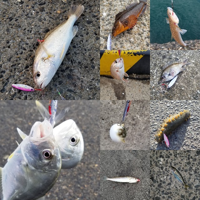 スーパーライトショアジギングでおすすめのメタルジグ3選 へっぽこアングラーだーやま