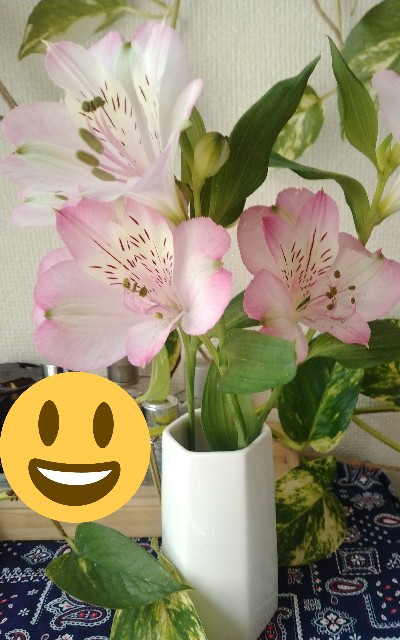 f:id:zakux:20211110024924j:image