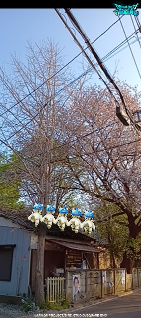 f:id:zakux:20250413074800j:image