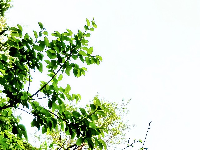 f:id:zakux:20250430195439j:image