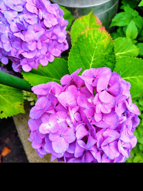 f:id:zakux:20250616174906j:image