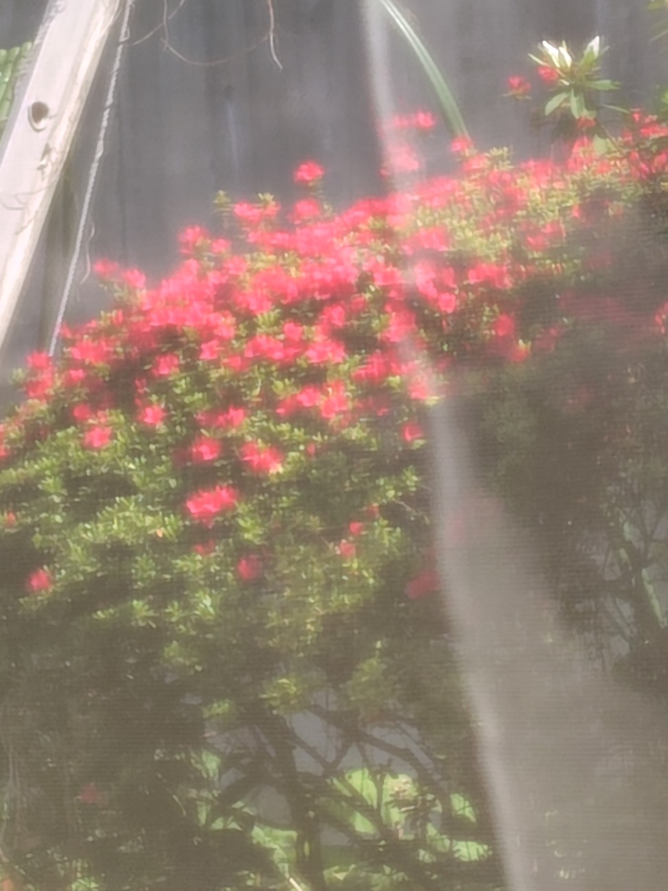 f:id:zakux:20260412135044j:image