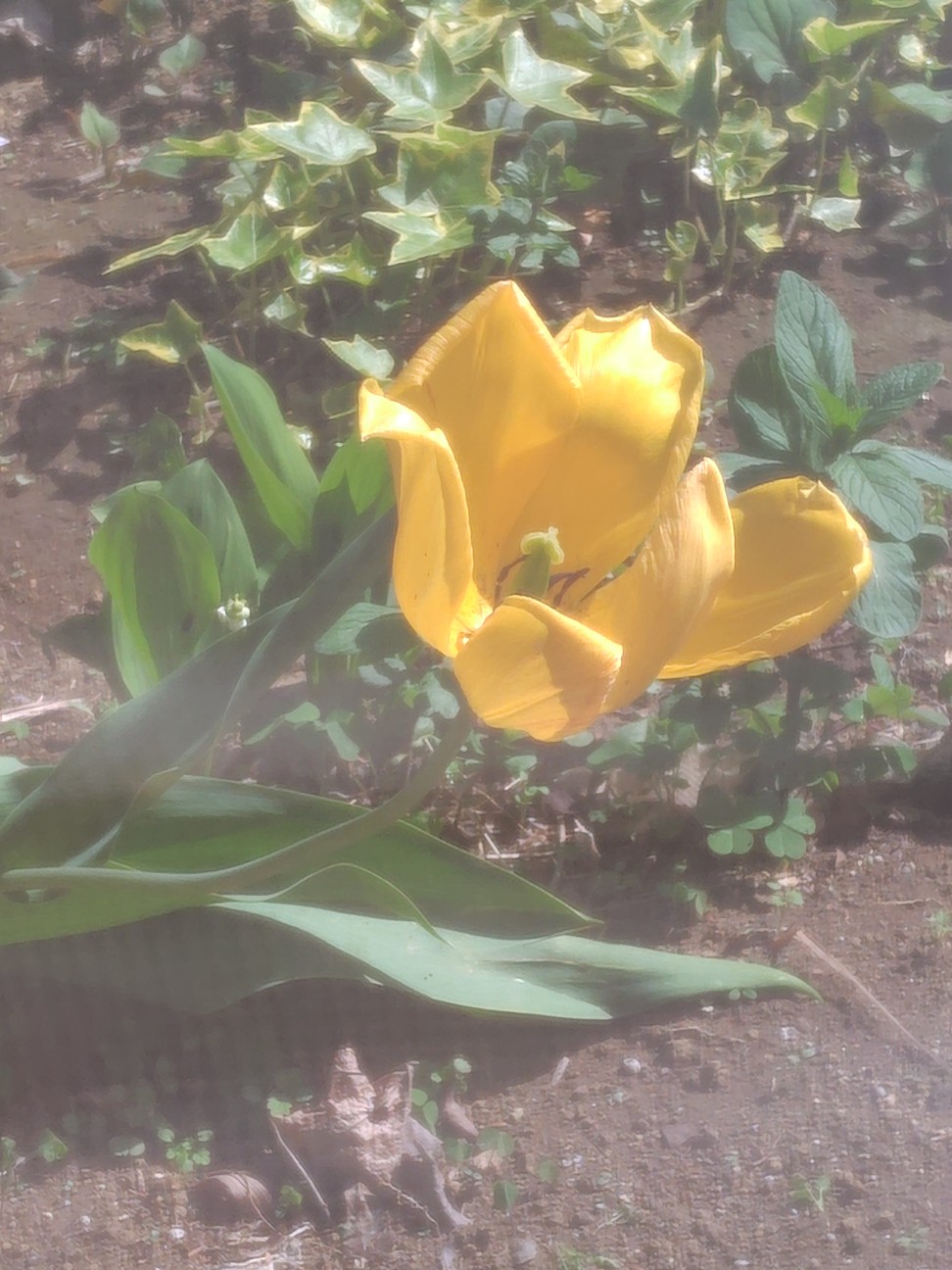 f:id:zakux:20260412135045j:image