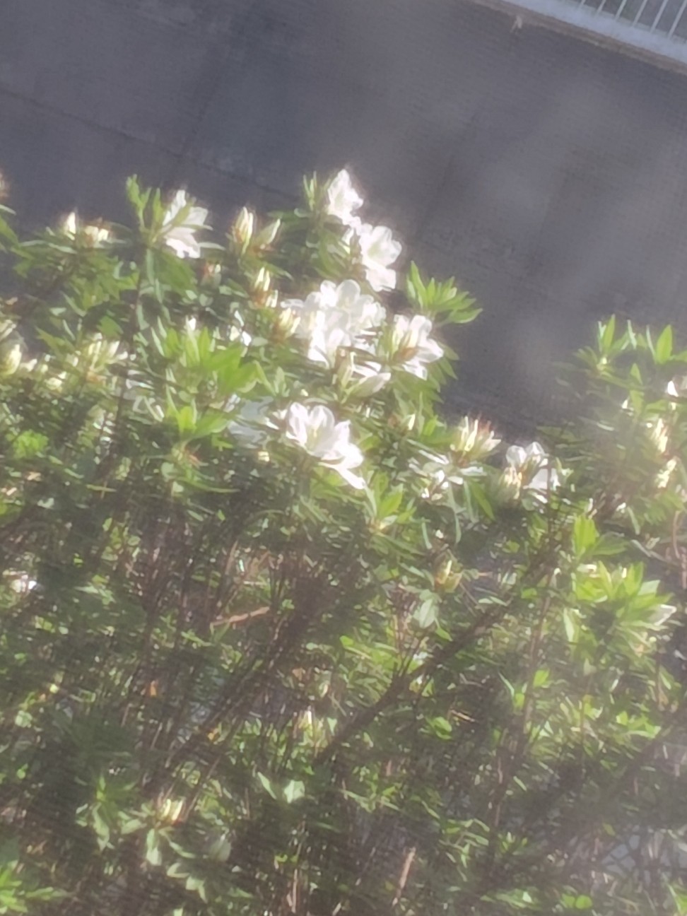 f:id:zakux:20260412135047j:image