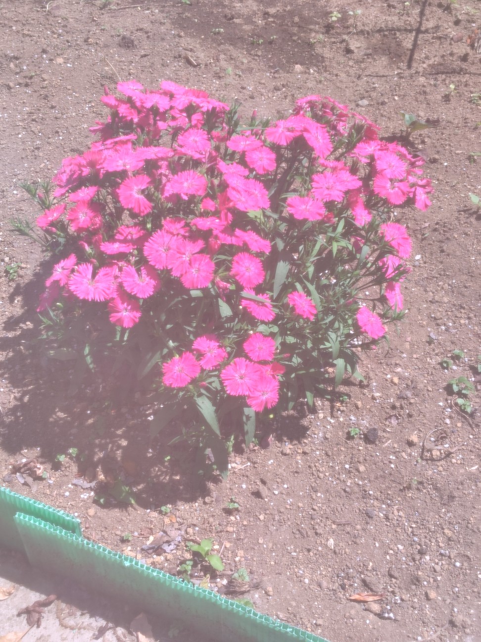 f:id:zakux:20260505123119j:image