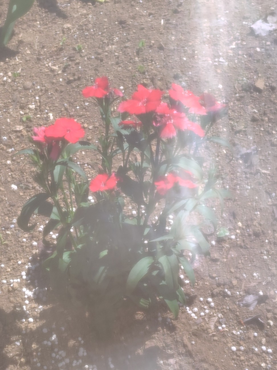 f:id:zakux:20260505123122j:image