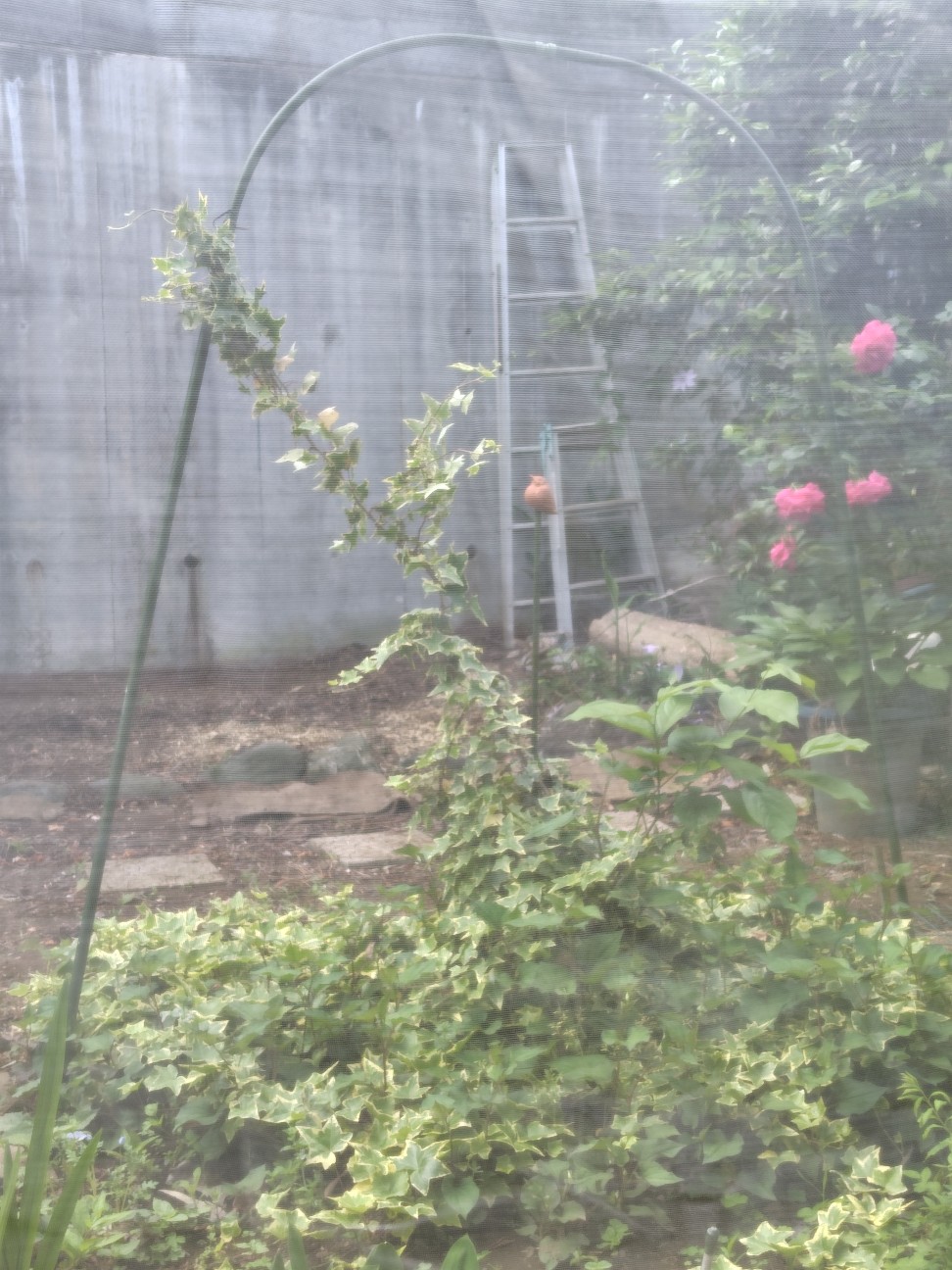f:id:zakux:20260509090529j:image