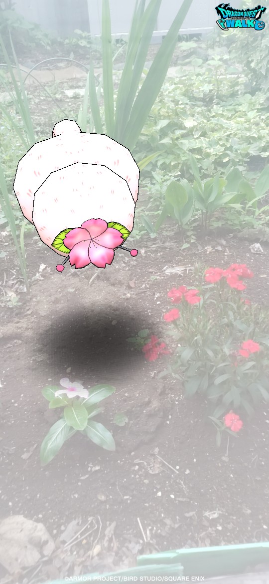 f:id:zakux:20260614095646j:image