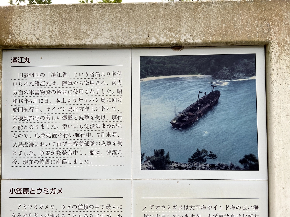 小笠原旅行記 1日目前編 父島を歩いて散策 ソトブラ ソトをブラブラしたくなる土地ネタブログ