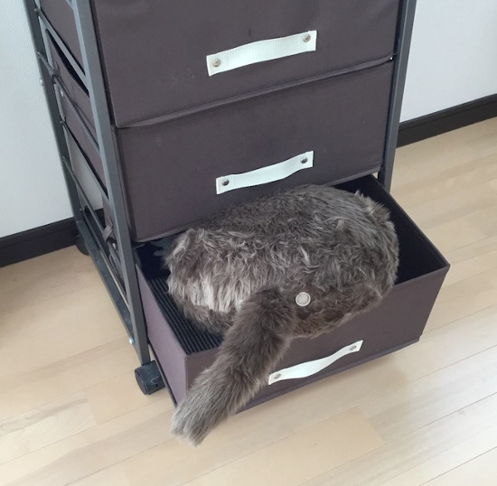 f:id:zaloha8:20200809095756j:plain