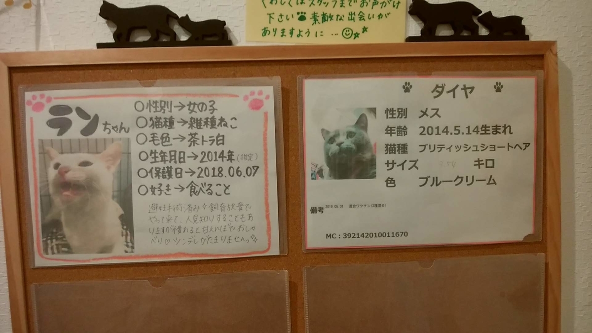 f:id:zanshi_h:20191031222202j:plain f:id:zanshi_h:20191031222202j:plain