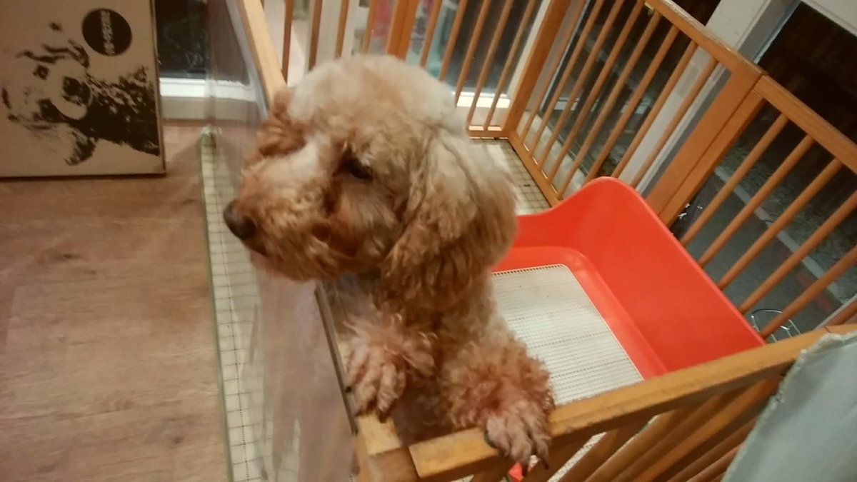 f:id:zanshi_h:20191031222224j:plain f:id:zanshi_h:20191031222224j:plain