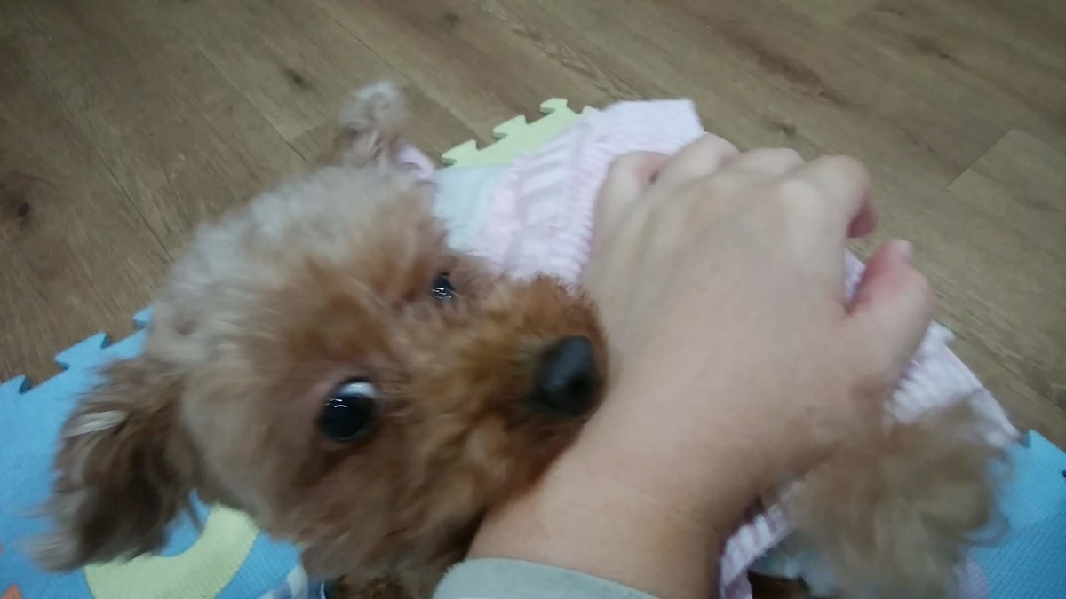 f:id:zanshi_h:20191031222251j:plain f:id:zanshi_h:20191031222251j:plain