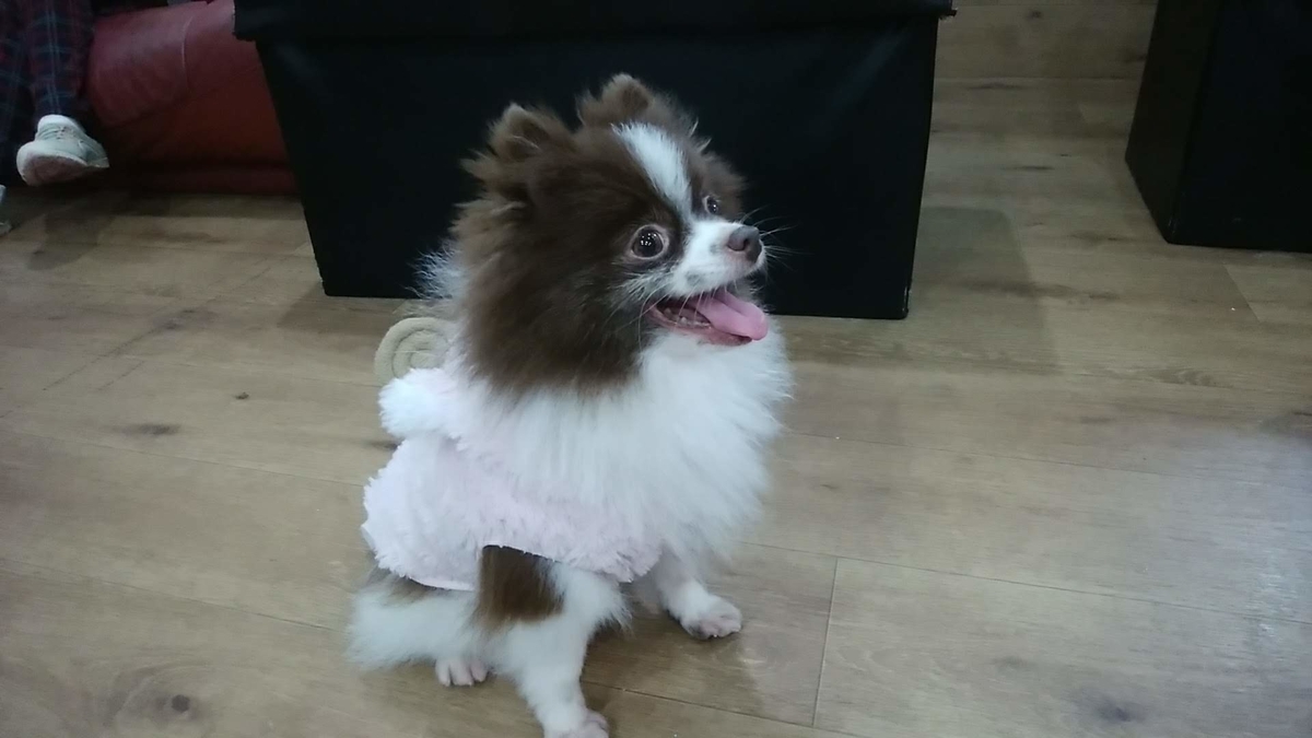 f:id:zanshi_h:20191031222312j:plain f:id:zanshi_h:20191031222312j:plain