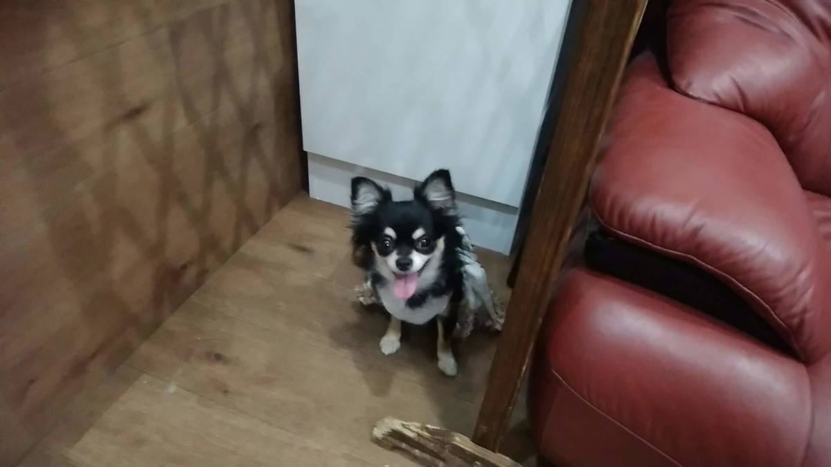 f:id:zanshi_h:20191031222323j:plain f:id:zanshi_h:20191031222323j:plain