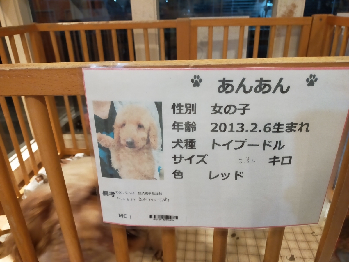 残滓 残滓