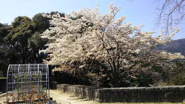 f:id:zanzou_00sigu:20190328232407j:plain