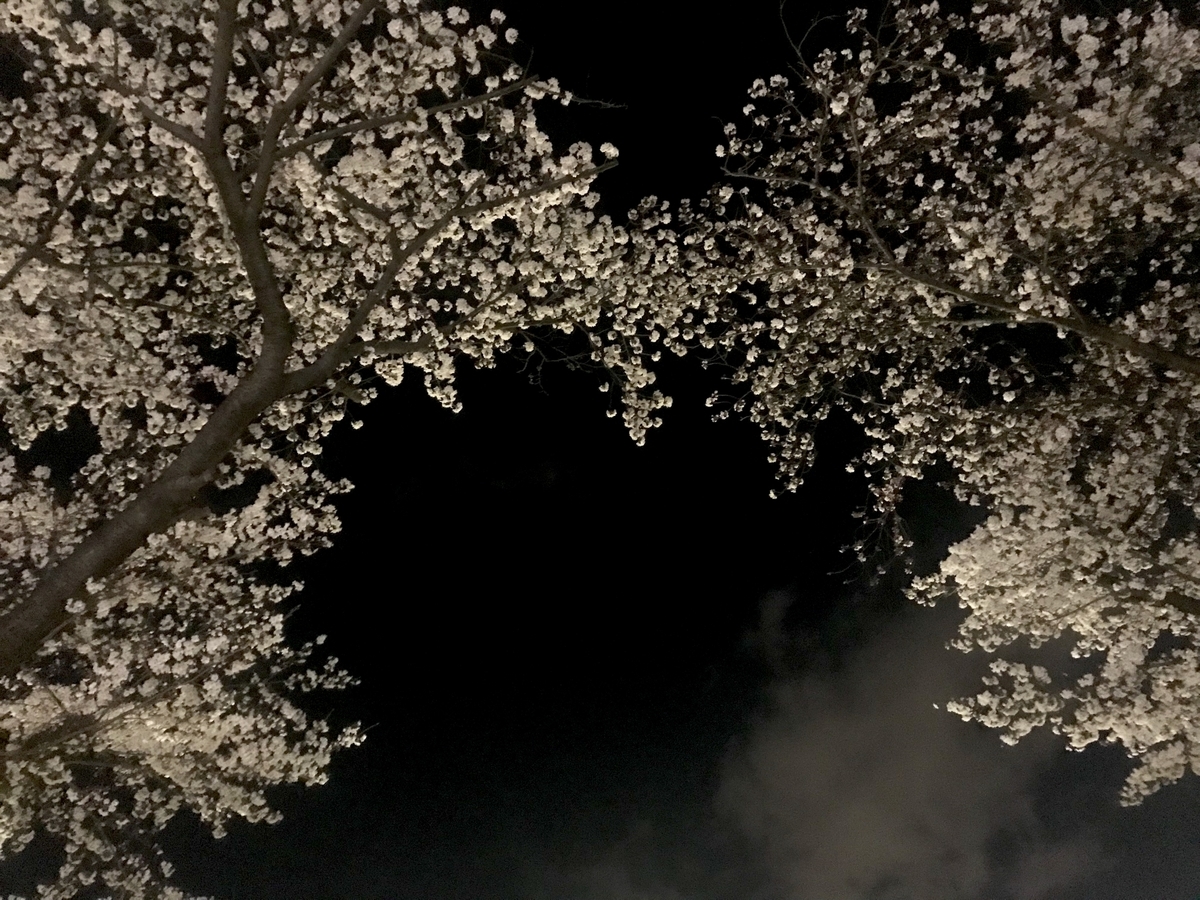 f:id:zanzow:20190513125854j:plain f:id:zanzow:20190513125854j:plain